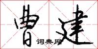 曹建怎么写好看