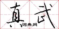 真武怎么写好看