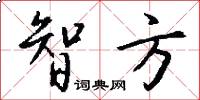 智方怎么写好看