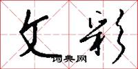 文彩怎么写好看