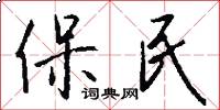 保民怎么写好看