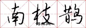 南枝鹊怎么写好看