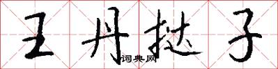 王丹挞子怎么写好看