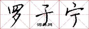 罗于宁怎么写好看