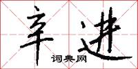 辛进怎么写好看