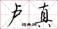 卢真怎么写好看