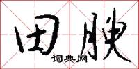 田腴怎么写好看