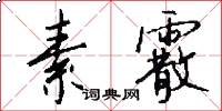 素霰怎么写好看