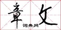 章文怎么写好看
