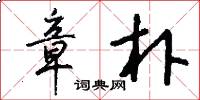 章朴怎么写好看