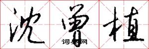 沈曾植怎么写好看