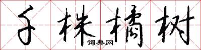 千株橘树怎么写好看