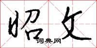 昭文怎么写好看