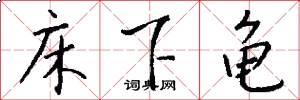 床下龟怎么写好看