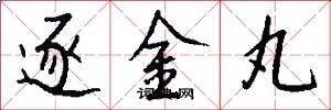 逐金丸怎么写好看