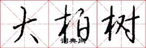 大柏树怎么写好看