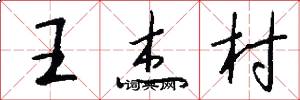 王杰村怎么写好看