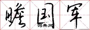 瞻国军怎么写好看