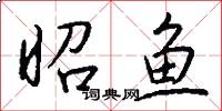 昭鱼怎么写好看