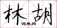 林胡怎么写好看