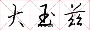 大玉兹怎么写好看