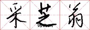 采芝翁怎么写好看
