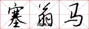 塞翁马怎么写好看
