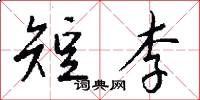 短李怎么写好看