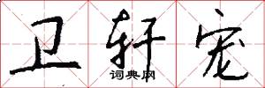 卫轩宠怎么写好看