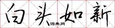 白头如新怎么写好看