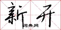 新开怎么写好看