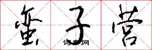 蛮子营怎么写好看
