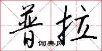 普拉怎么写好看