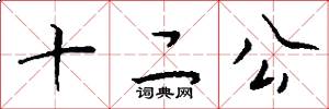 十二公怎么写好看