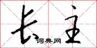 长主怎么写好看