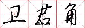 卫君角怎么写好看