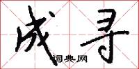 成寻怎么写好看