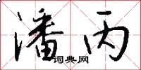 潘丙怎么写好看