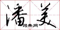 潘美怎么写好看