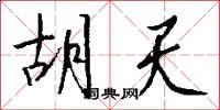 胡天怎么写好看