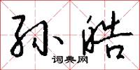 孙皓怎么写好看
