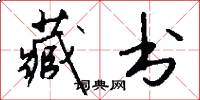 藏书怎么写好看