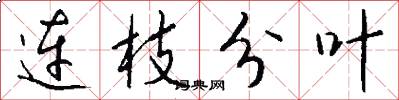 连枝分叶怎么写好看