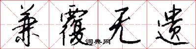 兼覆无遗怎么写好看