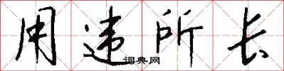 用违所长怎么写好看