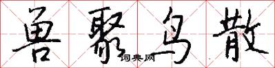 兽聚鸟散怎么写好看