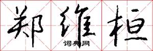 郑维桓怎么写好看