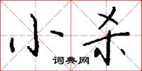 小杀怎么写好看