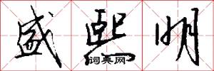 盛熙明怎么写好看