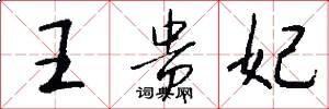 王贵妃怎么写好看
